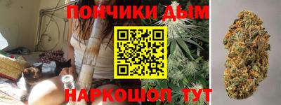 гашик Заводоуковск