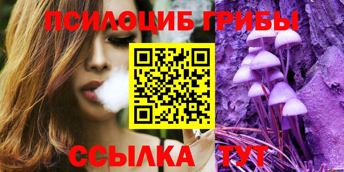 Набережные Челны  Псилоцибиновые грибы Cubensis  Вход с VPN 